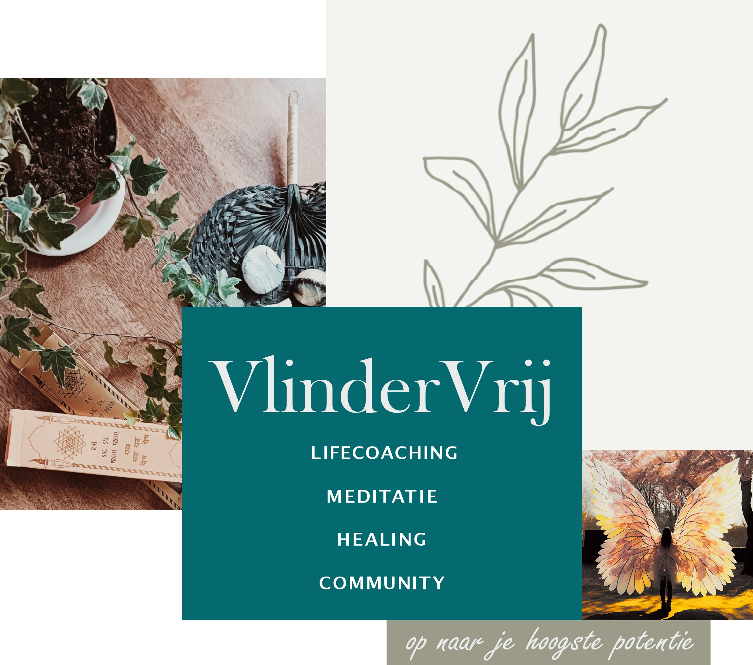 Vlindervrij home phone